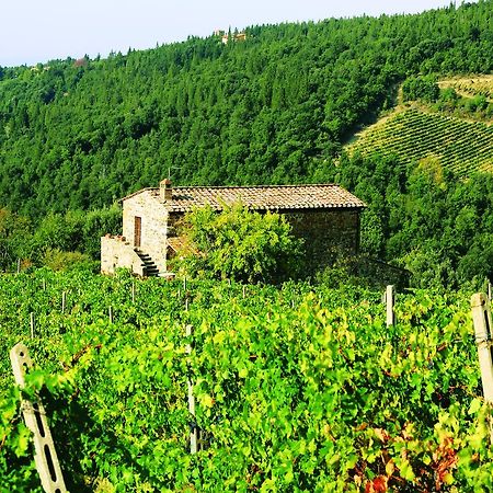 Agriturismo Piemaggino Castellina in Chianti Dış mekan fotoğraf
