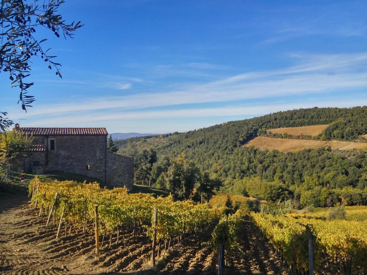 Agriturismo Piemaggino Castellina in Chianti Dış mekan fotoğraf