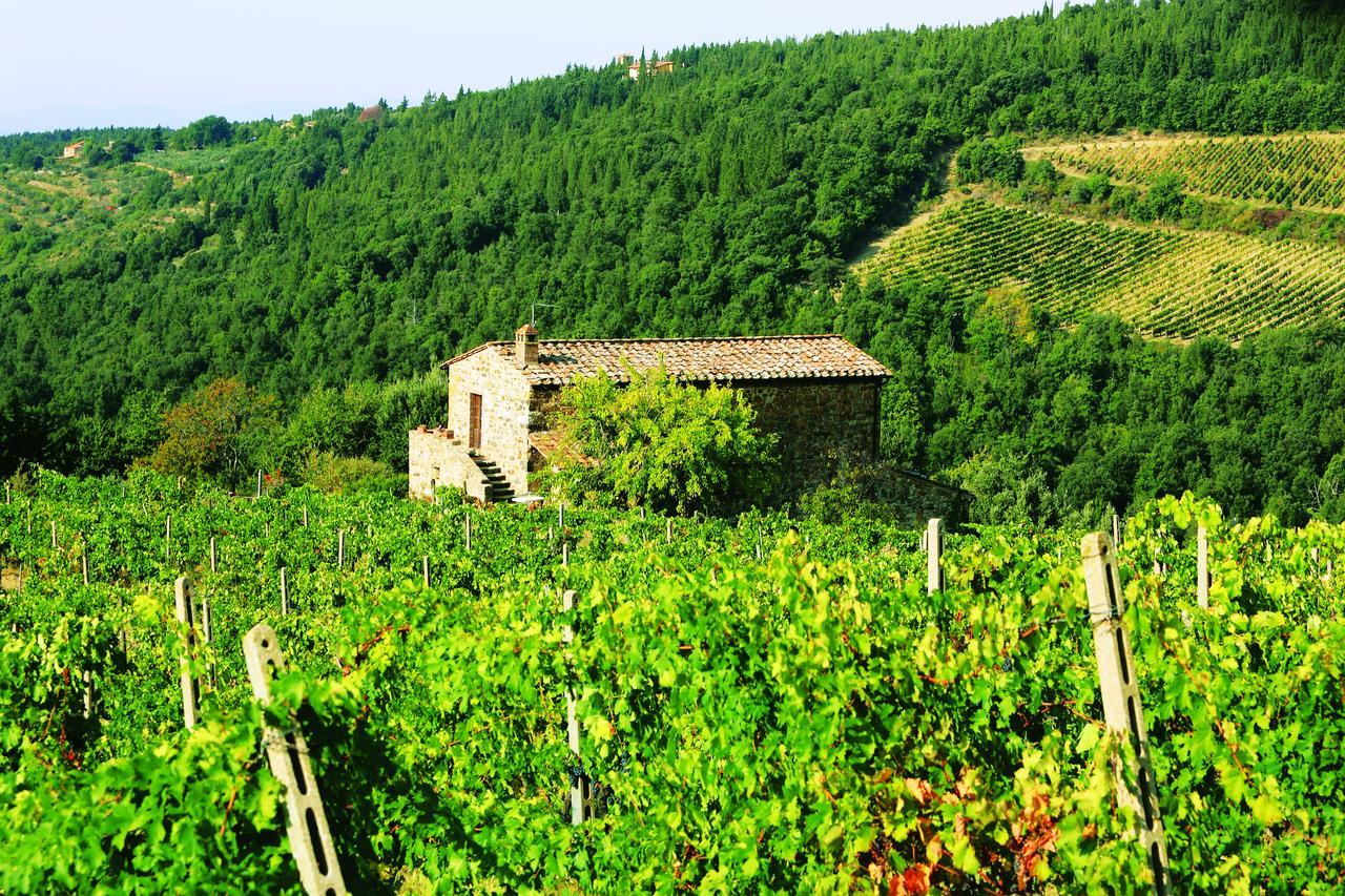 Agriturismo Piemaggino Castellina in Chianti Dış mekan fotoğraf