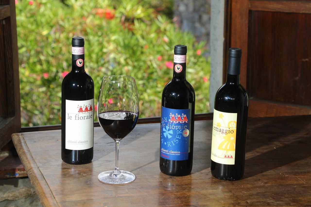 Agriturismo Piemaggino Castellina in Chianti Dış mekan fotoğraf