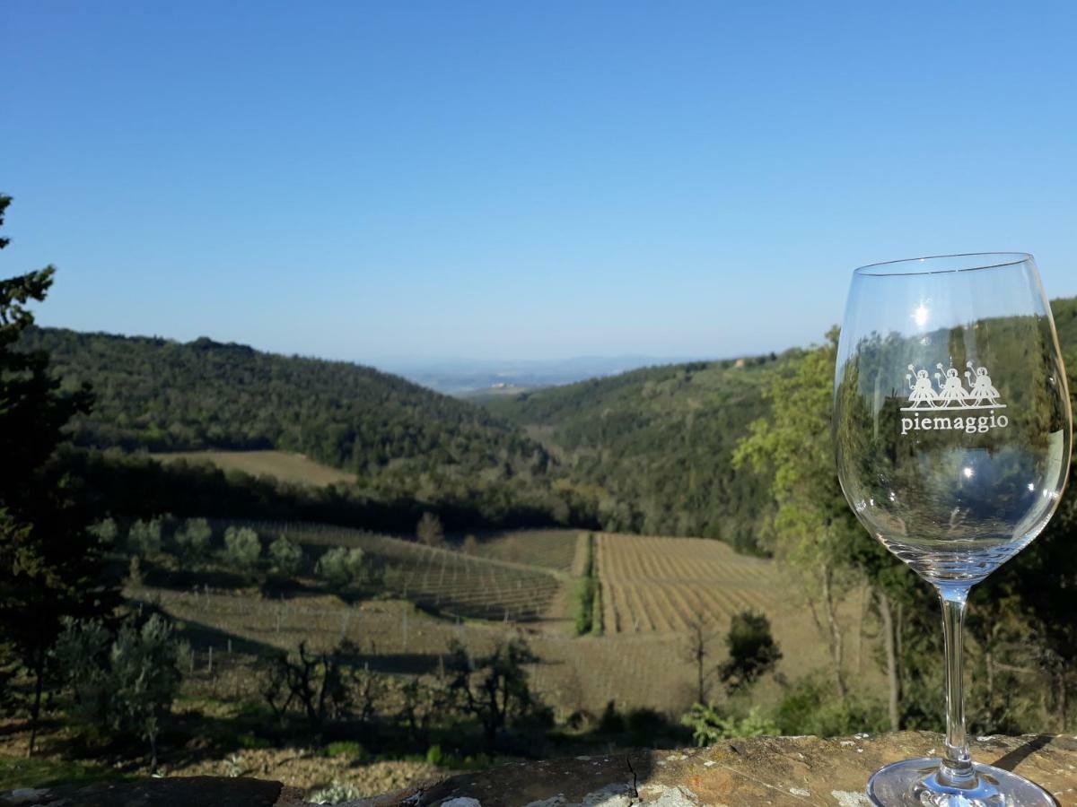 Agriturismo Piemaggino Castellina in Chianti Dış mekan fotoğraf
