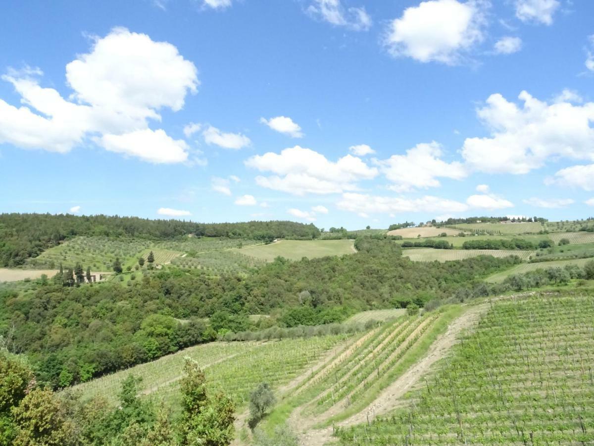 Agriturismo Piemaggino Castellina in Chianti Dış mekan fotoğraf