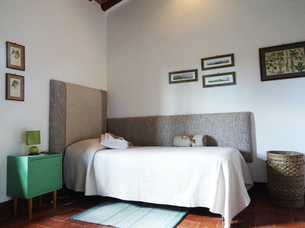 Agriturismo Piemaggino Castellina in Chianti Dış mekan fotoğraf